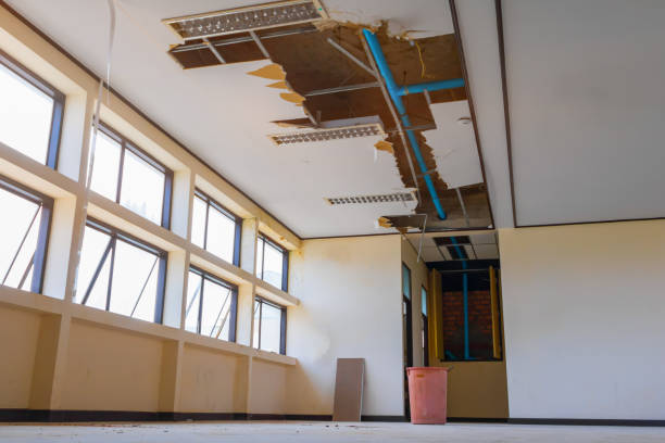 Best Flood damage cleanup  in Lincoln City, OR