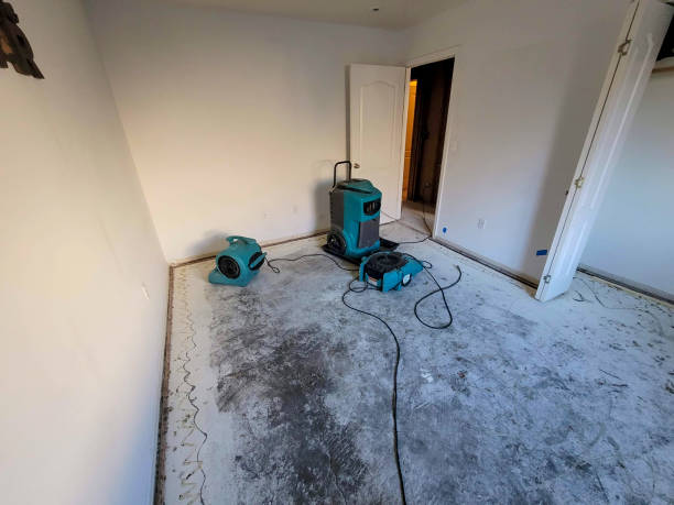 Best Water damage restoration near me  in Lincoln City, OR