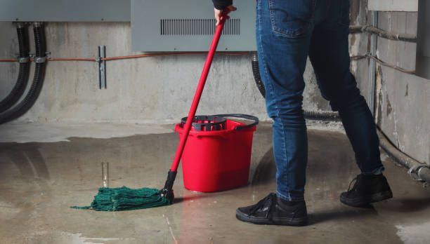 Best Fire Damage Restoration  in Lincoln City, OR
