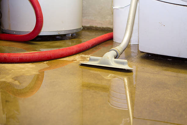 Best Water damage restoration near me  in Lincoln City, OR