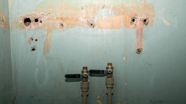 Best 24/7 water damage repair  in Lincoln City, OR