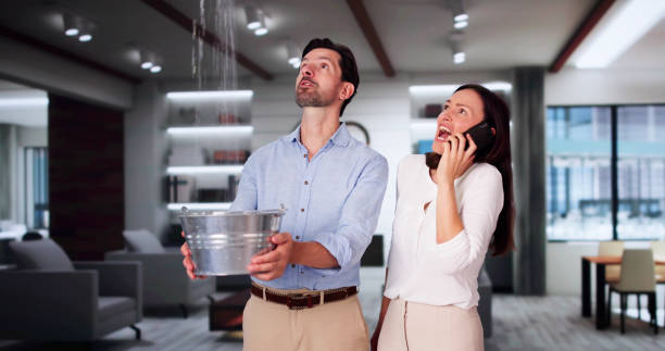 Best Local water damage restoration  in Lincoln City, OR