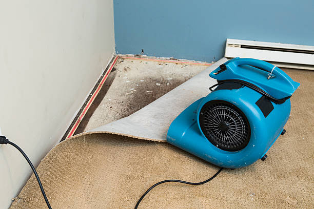 Best Water damage cleanup near me  in Lincoln City, OR